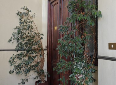 Porta ingresso