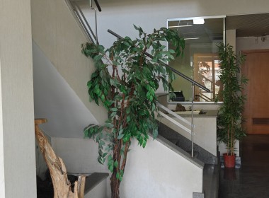 IMG20250915150038