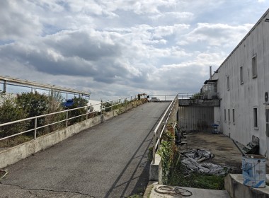 IMG20250915155546