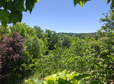 IMG20260516120822